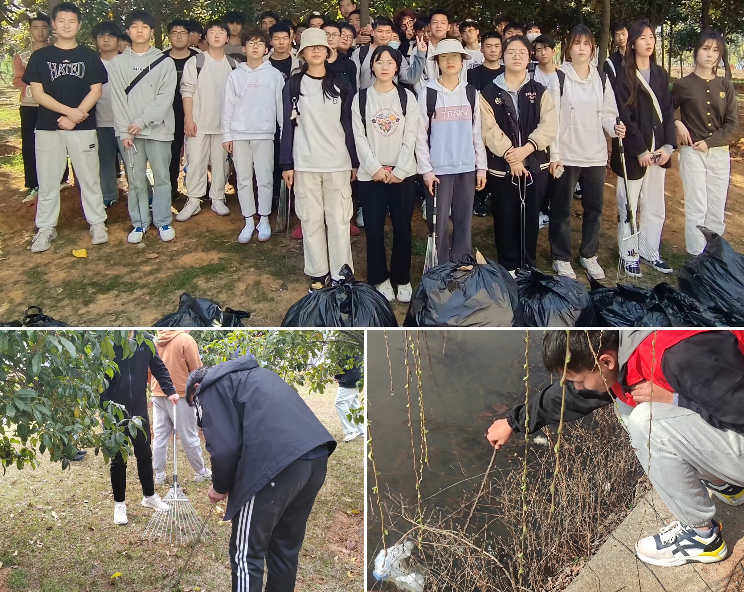 2E4A9E40D036D01FE677791B0D23D396.png 2E4A9E40D036D01FE677791B0D23D396.png